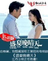 盛夏晚晴天介绍