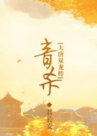 大唐双龙传歌曲有哪些