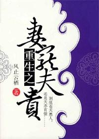 重生之宠妻狂夫