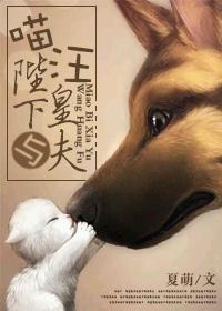 喵陛下免费阅读