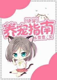 养宠小贴士