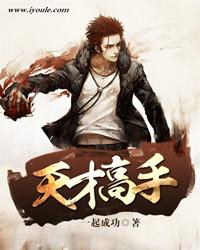 天才高手女主有几个