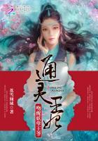 通灵王妃在线阅读