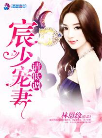 宸少的追妻史