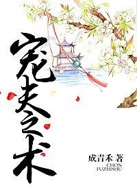 宠夫免费阅读