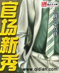 官场新秀全文最新章节