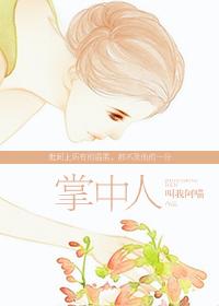 八轮车的图片